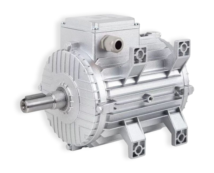 MSW MYW&SERIES HIGH TEMPERATURE AND HIGH HUMIDITY ASYNCHRONOUS MOTOR